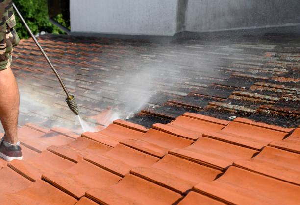Best Concrete Pressure Washing  in Collinsvle, IL